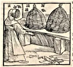 munster-apiculteur-hdours-2